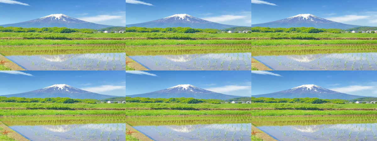 Frames from two stock clips showing the same mountain and rice field